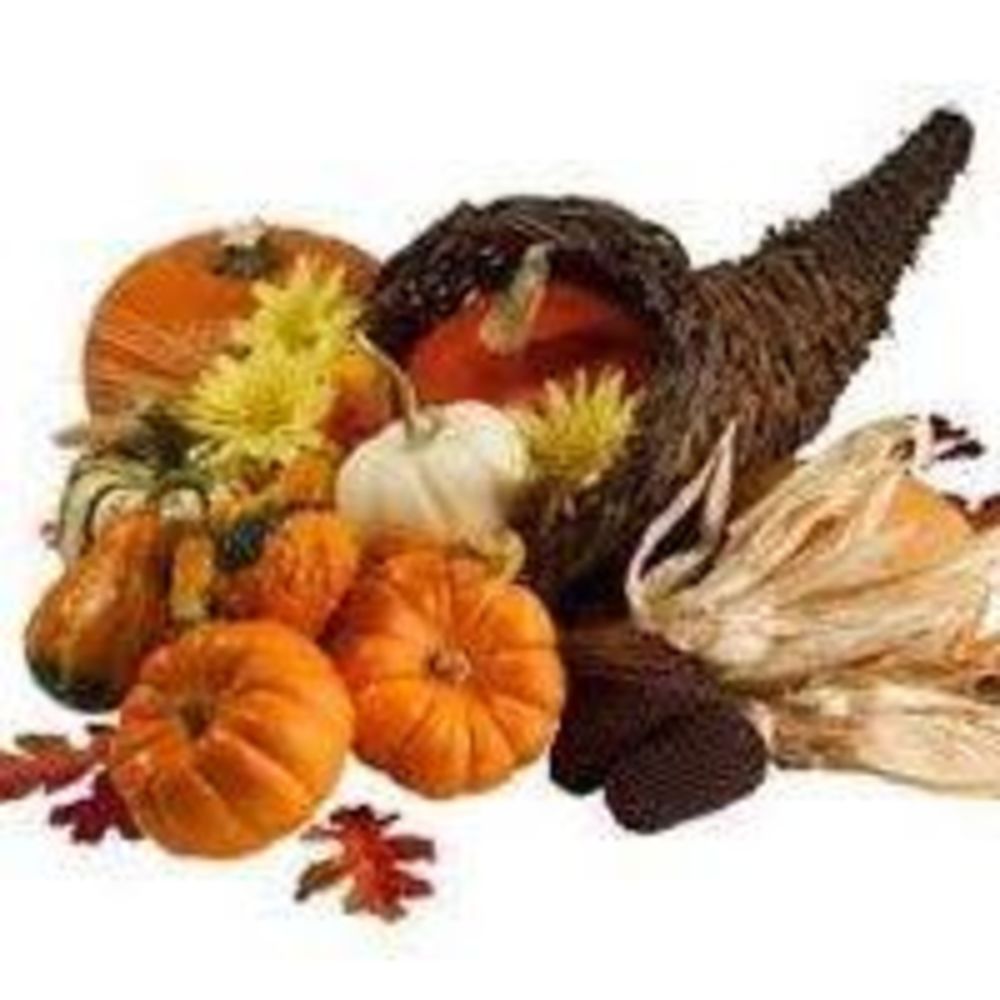 Meet your Posher, Scott